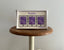 REJUVENATION SAMPLE KIT | PROFILE S