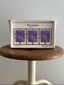 REJUVENATION SAMPLE KIT | PROFILE T